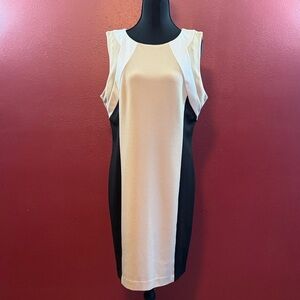 Calvin Klein Cream and Black Midi Dress
